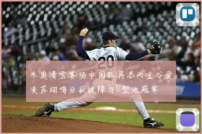 冬奥滑雪赛场中国队再添两金谷爱凌苏翊鸣分获坡障与U型池冠军