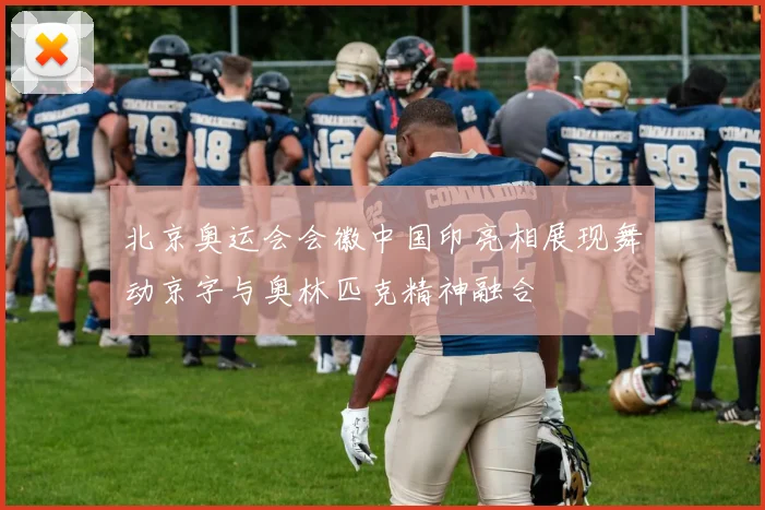 北京奥运会会徽中国印亮相展现舞动京字与奥林匹克精神融合