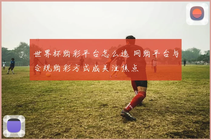 世界杯购彩平台怎么选 网购平台与合规购彩方式成关注焦点