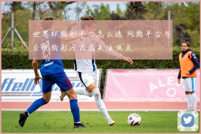 世界杯购彩平台怎么选 网购平台与合规购彩方式成关注焦点