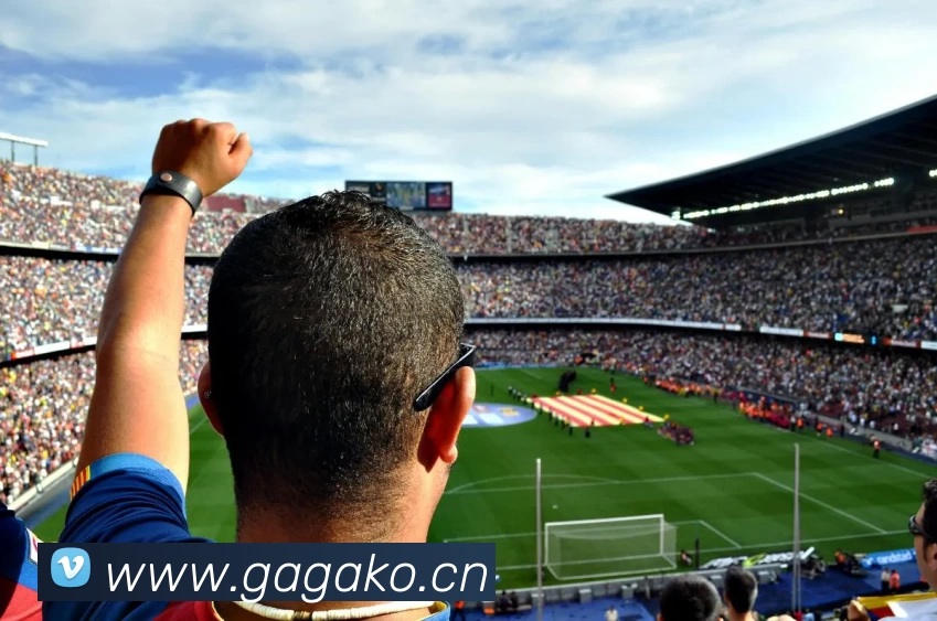 九游体育app官方首页APP 高清赛事图